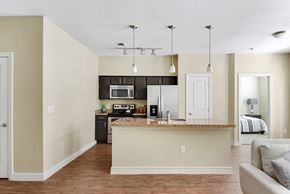 Austin apartment for rent - an open kitchen and living room with a counter top
