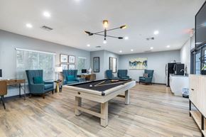 Brandon apartment for rent - clubhouse Skye Reserve