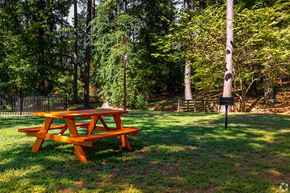Longview apartment for rent - a picnic table in a park with trees