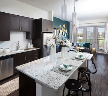 Irving apartment for rent - The Louis Las Colinas