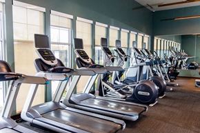 Valparaiso apartment for rent - A row of treadmills and elliptical machines in a gym.
