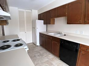Minneapolis apartment for rent - Kitchen 3D