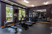Minneapolis apartment for rent - 24/7 Fitness Center
