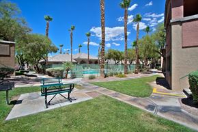 Las Vegas apartment for rent - A park with a bench and palm trees.