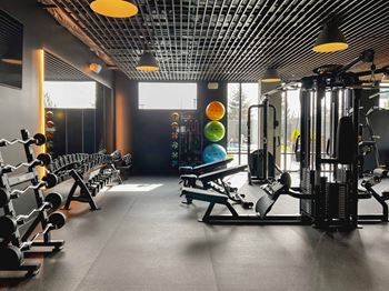 Fitness center with weight machines and free weights