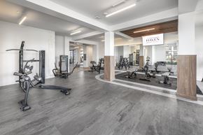 Winter Garden apartment for rent - A Gym with Weights at The Haven at Lake Britt Apartments, Winter Garden, Florida