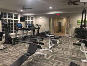 Lake Villa apartment for rent - Fitness Center 2020 at The Sanctuary of Lake Villa, Lake Villa, Illinois