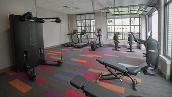 A gym with a variety of equipment including treadmills, weights, and a bench.