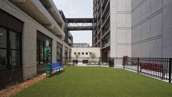 A small grassy area with a bench in the middle of a courtyard surrounded by buildings.