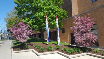 Plaza area surrounds west johnson street, broom street and west dayton street
