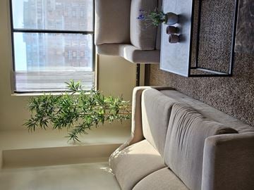 Madison apartment for rent - A living room with a grey couch and a plant on the window sill.