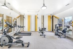 Austin apartment for rent - A gym with treadmills, elliptical machines, and other exercise equipment at Acclaim at South Congress, Austin, 78704