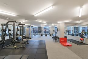 Brooklyn apartment for rent - A gym with a variety of equipment including weights and cardio machines.