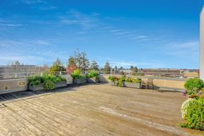 Berkeley apartment for rent - A rooftop garden with wooden decking and a variety of plants. at Acton Courtyard, Berkeley, CA, 94703