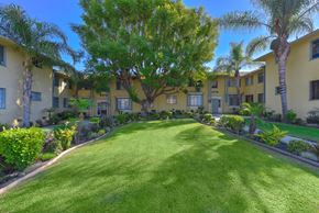 Los Angeles apartment for rent - Green lawn at Acclaim at Baldwin Apartments, Los Angeles, CA, 90008