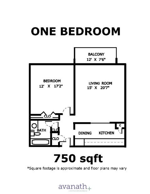 Floor plan for 1 bed, 1 bath, 1010 sqft