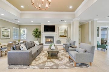 Antelope apartment for rent - A living room with a grey couch and a fireplace.