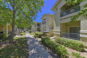 Sacramento apartment for rent - A tree in front of a building with a clear blue sky at Hurley Creek Apartment Homes, California, 95834