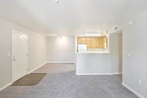 Novato apartment for rent - Empty Room at Bay Vista at Meadow Park Apartments, Novato, California