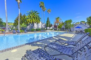 Novato apartment for rent - Poolside Lounge Space at Bay Vista at Meadow Park Apartments, California, 94949