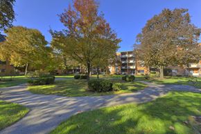 Mattapan apartment for rent - Grassy Area at Morton Village Apartments, Mattapan, MA, 02126