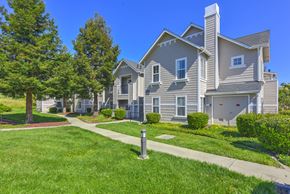 Novato apartment for rent - Beautiful Garden Exterior at Bay Vista at Meadow Park Apartments, California, 94949