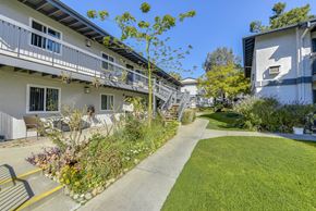 Duarte apartment for rent - Courtyard walkway with lush garden beds and lawn at Heritage Park Apartments, Duarte, 91010