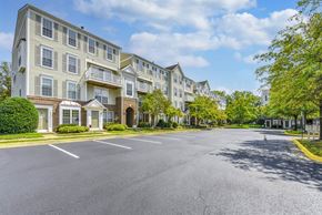 Sterling apartment for rent - A sunny day at a residential complex with apartment buildings and a parking lot at Acclaim at Sterling, 20164