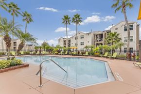 Orlando apartment for rent - A swimming pool surrounded by palm trees and apartment buildings.