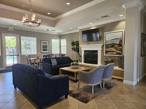 Elk Grove apartment for rent - A living room with a fireplace and a television.