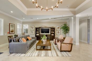 Clubhouse with modern furniture and entertainment center