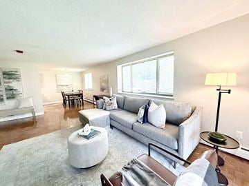 Mattapan apartment for rent - A living room with a grey couch and a white rug.