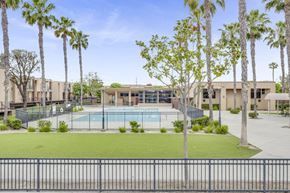 Long Beach apartment for rent - Pool surrounded by palm trees at Northpointe Apartments, California