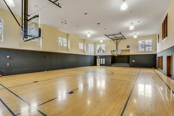 Basketball court