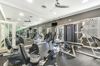 Modern gym