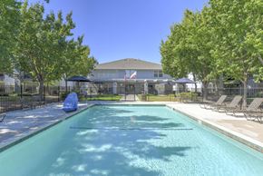 Roseville apartment for rent - A swimming pool in a residential area with trees and houses in the background.