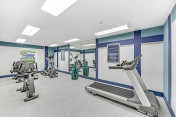 Treadmills in gym