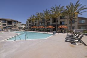 American Canyon apartment for rent - A swimming pool surrounded by lounge chairs and palm trees.