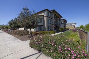 American Canyon apartment for rent - A building with a grey facade is surrounded by a flower bed with pink flowers.