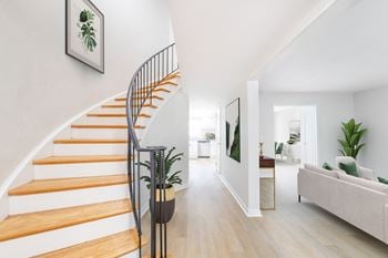 Living room with plant