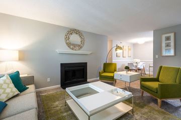 Raleigh apartment for rent - a living room with a couch and a fireplace