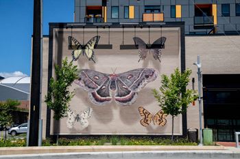 Decorated exterior