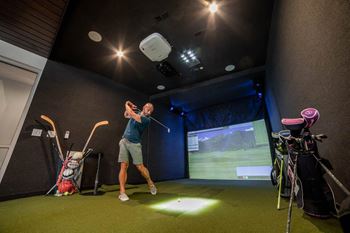 Golf and multi-sport simulator