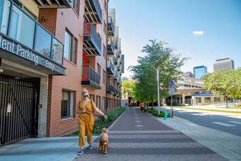 Walking with a dog