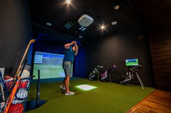 Golf and multi-sport simulator