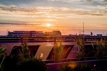 Sunset view