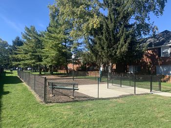Dog park 