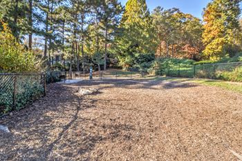 Dog park