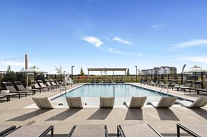 West Lafayette apartment for rent - Resort-style swimming pool with in-water loungers, poolside seating, umbrellas, and pergola at Montage West Lafayette apartments in West Lafayette, IN.