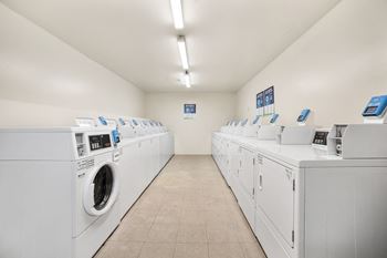 The laundry room